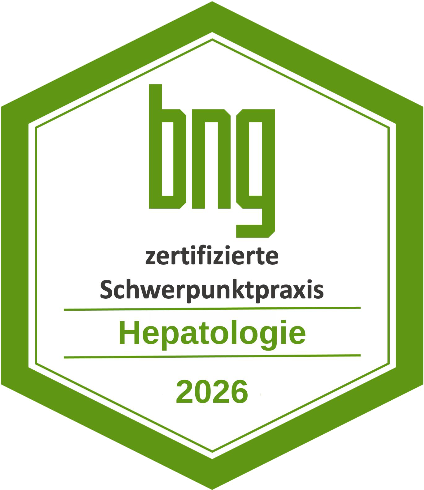 bng Hepatologie 2026
